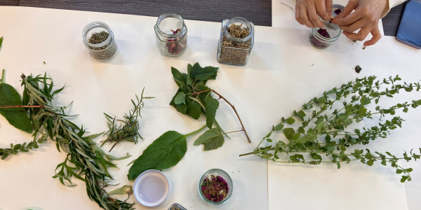 Emerald Explorers: Natural Colour